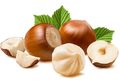 Rutin Konsumsi Kacang Hazelnut, 8 Manfaat Kesehatan Ini Akan Dirasakan