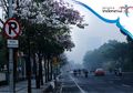 Nggak Perlu ke Jepang, Di Surabaya ada Jalan Bertaburan Bunga Sakura!