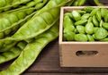 Bikin Masakan Jadi Menggiurkan, Nyatanya Petai Bisa Bikin Keringat Semakin Bau, Ini Alasannya!