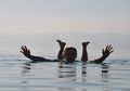 Kenapa Laut Mati di Timur Tengah Disebut Laut Mati, ya?