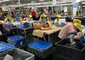 Gaji Minimal dan Tuntutan Kerja Maksimal, Buruh Pabrik di China Hanya Dibayar Rp 185 tiap Buat 1 Boneka