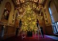 Nyaris Setinggi Gedung Dua Lantai, Begini Megahnya Pohon Natal di Istana Kensington Inggris