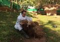 Puluhan Anjing Sekarat Berhasil Diselamatkan di Thailand, Berawal dari Keluhan Warga