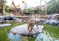 Menjelajah Batu Secret Zoo, Kebun Binatang Terbaik di Indonesia