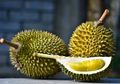 155 Warga Malaysia Tertipu Investasi Durian Musang King, Kerugiannya Capai Rp4,5 Miliar