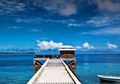 Menyelam Sampai Mabuk Terbuai Keindahan Alam Bawah Laut Wakatobi