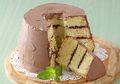 Resep Membuat Chiffon Lapis Cokelat, Kelembutannya Selalu Dirindukan
