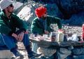 Kisah Dua Orang yang Hilang Selama 30 Tahun di Gunung Himalaya, Pesan Terakhir Mereka Sungguh Memilukan