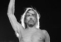 Iggy Pop Bakal Bikin Serial Dokumenter tentang Punk. Personel Ramones dan Sex Pistols Bakalan Hadir.