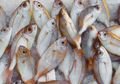 Manfaat Diet Pescaterian, Salah Satunya Menurunkan Risiko Penyakit Jantung