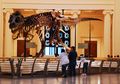 Ornamen Tulang Kepala dan Rahasia Mengapa Dinosaurus Berukuran Raksasa