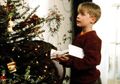 Ngebiarin Anaknya Nonton Home Alone Sendiri di Rumah, Ibu Ini Ditangkap
