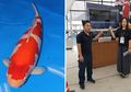 Di Indonesia Ikan Ini Harganya Ratusan Ribu, di Jepang Ada yang Terjual Rp26 Miliar