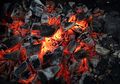 Cara Membuat BBQ, Ini Cara Mudah Menyalakan Arang Saat Malam Tahun Baru Nanti
