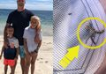 Hati-hati Bertemu Hewan Kecil Ini di Pantai, Nyawa Pria Ini Nyaris Melayang Gara-gara Hewan Tersebut