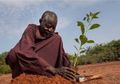 Orang Ini Sendirian Selama 30 Tahun Hijaukan Gurun Gersang di Afrika Barat, Salut!