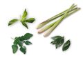 Cara Menggunakan Serai Hingga Daun jeruk Agar Aroma Masakan Jadih Lebih Harum Dan Nikmat.