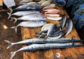 Waspada Bagi Pencinta Seafood! Anda Mungkin Tak Sadar Telah Menelan Sampah