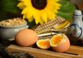 Tak Cuma Diet Apel, Ada Juga Diet Telur Rebus yang Bisa Turunkan 10 Kg Hanya Dalam Waktu Singkat!