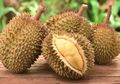 Seorang Supir Angkot Tewas Setelah Makan Durian, Ditemukan dengan Hidung Bersimbah Darah