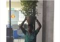 Lakukan Tindakan Tak Senonoh, Pria Ini Dihukum Meletakan Pot Bunga di Kepalanya, Ini 'Kejahatan' yang Dilakukannya