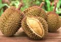 Durian Diduga Jadi Penyebab Seorang Sopir Angkot Meninggal Dunia, Begini Penjelasannya Secara Medis