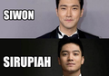 Boy William Dibilang Mirip Siwon 'Super Junior', Begini Tanggapannya!