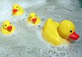 Bahaya, Penelitian Ungkap Bebek Karet Picu Infeksi Anak