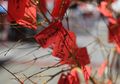 Imlek 2019 : Berawal dari Bungkusan Pengusir Setan, Inilah Filosofi Angpau, Si Merah yang Selalu Dinanti