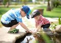 Pertolongan Pertama Anak Digigit Serangga Tanpa Ribet dan Mudah