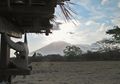Baluran, Africa van Java dengan Hewan-hewan Liar Eksotis nan ‘Pemalu’