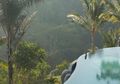 Hijau dan Damainya Ubud, Tak Hanya Tenteramkan Tubuh, Tapi Juga Jiwa