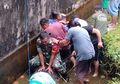 Proses Evakuasi Buaya Pemangsa Manusia di Minahasa, Ditunggangi Hingga Gigi Depannya Lepas