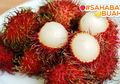 Turunkan Berat Sampai Membasmi Kanker, Ini Dia Manfaat Buah Rambutan yang #SahabatBuah Belum Tahu!