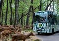 Bertualang di Taman Safari Terbesar di Indonesia, Prigen