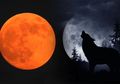 Hari Minggu Nanti Akan Terjadi ‘Super Blood Wolf Moon’, Apa itu dan di mana Saja Kita Bisa Melihatnya?