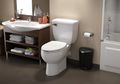 5 Tips Agar Saluran WC Tak Mampet dan Septic Tank Cepat Penuh