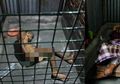 Miris! Di Medan Anak Kandung Perempuan Tega Kurung Ayahnya Sendiri Dalam Keadaan Telanjang