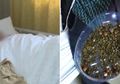 Akibat Jarang Sarapan dan Pola Makan Tak Teratur, 2.000 Batu Empedu Ditemukan dalam Tubuh Wanita Ini
