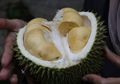 Pria Meregang Nyawa Usai Makan Durian dan Minum Kopi, Berbahayakah Minum Kopi dan Makan Durian Bersamaan?