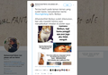 Viral, Kisah Sedih Bailey, Kucing yang 'Diculik'. Pemilik Diperas Smartphone Android, Faith In Humanity Lost.