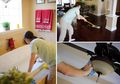 Yuk, Bersihkan Rumah Agar Bebas Penyakit, Tak Perlu Waktu Lama, Kok!