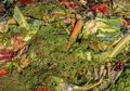 Dikira Sampah, 5 Bagian Sayur dan Buah Ini Bermanfaat Bagi Kesehatan