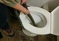Sedang Duduk di Toilet, Wanita Ini Merasa Ada yang Menusuknya dari Bawah Ternyata Pelakunya adalah Ular Piton