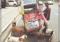 Kisah Pria Miskin yang Jual Sampah Demi Belikan Makan Anjing-anjing Liar