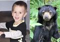 Seperti Masha And The Bear, Bocah Tiga Tahun Ini Hilang di Hutan dan Berteman dengan Beruang