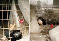 Hanya Bisa Julurkan Kepala, Wanita Malang Ini Dikerangkeng dalam Ruang Bawah Tanah Kumuh Oleh Keluarganya