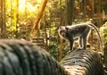 Suka Travelling? Cocok Nih Masuk Peminatan Perjalanan Wisata dan MICE di Prodi Pariwisata UI