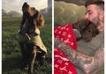 Anjing Kesayangan David Beckham Tidur dengan Selimut Ternama dengan Harga Hampir Ratusan Juta