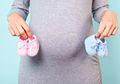 Hamil Anak Kembar Tinggi Risiko, Lakukan Ini Agar Kehamilan Sehat